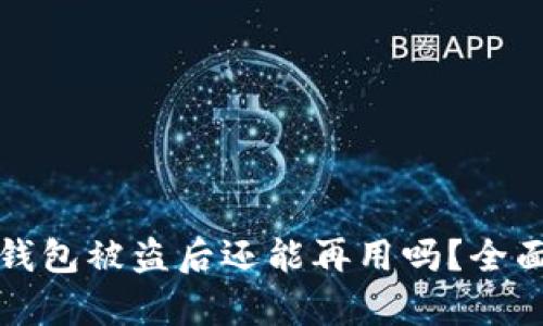 小狐钱包被盗后还能再用吗？全面解析