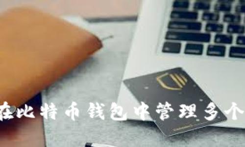 如何在比特币钱包中管理多个地址？