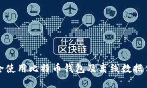 如何安全使用比特币钱包及离线数据保护指南