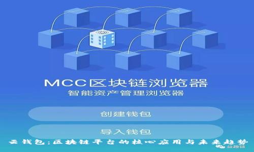 云钱包：区块链平台的核心应用与未来趋势