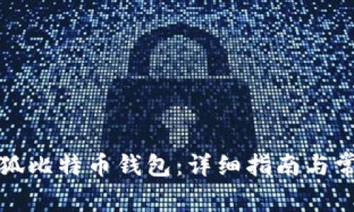 如何下载小狐比特币钱包：详细指南与常见问题解答