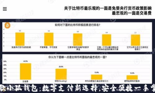 
谷歌小狐钱包：数字支付新选择，安全便捷一手掌握