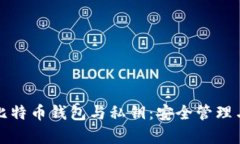 全面解析比特币钱包与私