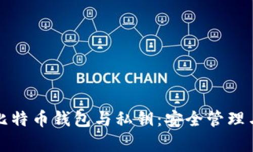 全面解析比特币钱包与私钥：安全管理与使用指南