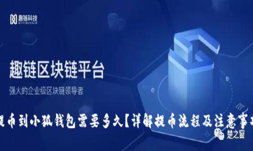 提币到小狐钱包需要多久？详解提币流程及注意事项