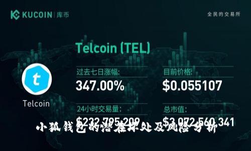 小狐钱包的潜在坏处及风险分析