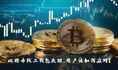 比特币线上钱包失踪，用
