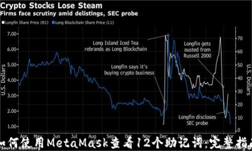 
如何使用MetaMask查看12个助记词：完整指南