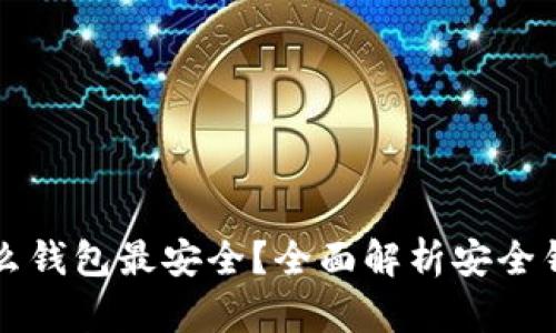 比特币放什么钱包最安全？全面解析安全钱包选择指南