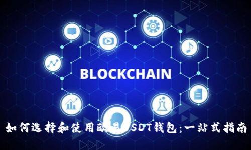 如何选择和使用欧易USDT钱包：一站式指南
