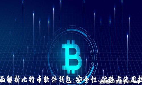 
全面解析比特币软件钱包：安全性、优势与使用技巧