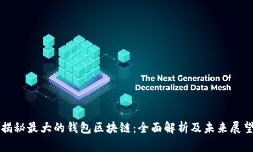 揭秘最大的钱包区块链：全面解析及未来展望