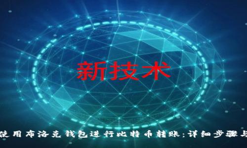 如何使用布洛克钱包进行比特币转账：详细步骤与技巧