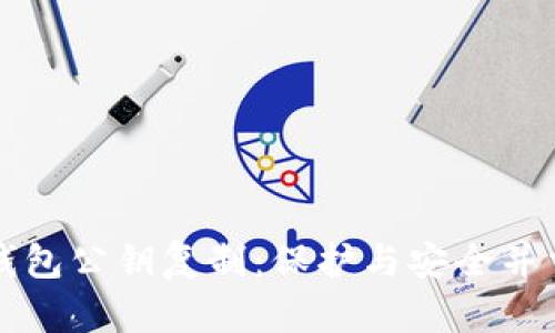 比特币钱包公钥复制：保护与安全并重的秘诀