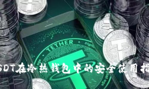 USDT在冷热钱包中的安全使用指南