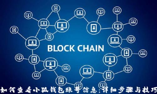 
如何查看小狐钱包账号信息：详细步骤与技巧