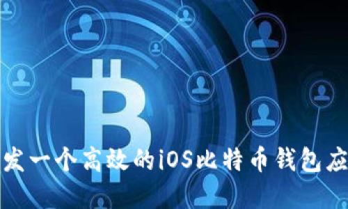 如何开发一个高效的iOS比特币钱包应用程序