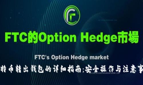 比特币转出钱包的详细指南：安全操作与注意事项