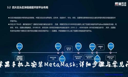 如何在苹果手机上安装MetaMask：详细步骤与常见问题解答