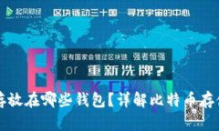 比特币究竟存放在哪些钱