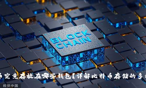 比特币究竟存放在哪些钱包？详解比特币存储的多种方式