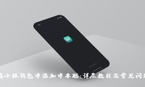 如何在小狐钱包中添加中本聪：详尽教程及常见问题解答