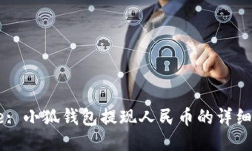 Title: 小狐钱包提现人民币的详细指南