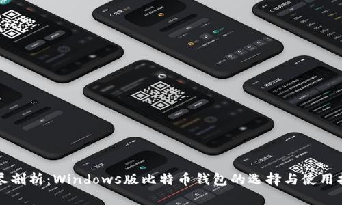 详尽剖析：Windows版比特币钱包的选择与使用指南