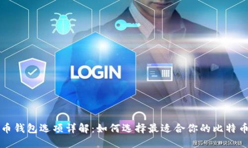 比特币钱包选项详解：如何选择最适合你的比特币钱包