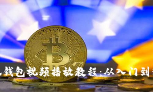 小狐钱包视频播放教程：从入门到精通