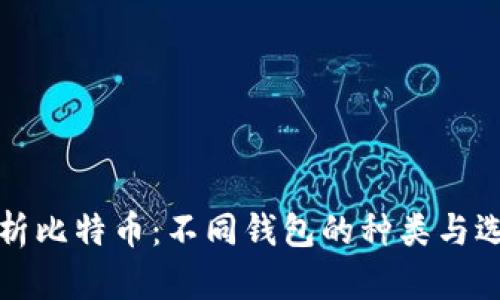全面解析比特币：不同钱包的种类与选择指南
