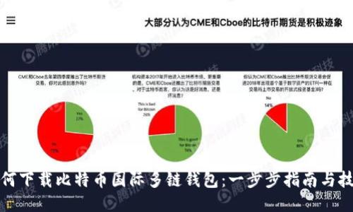 如何下载比特币国际多链钱包：一步步指南与技巧