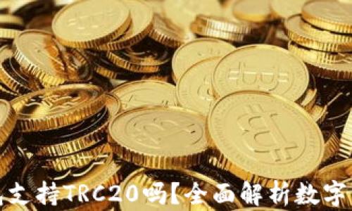 
小狐钱包支持TRC20吗？全面解析数字资产管理