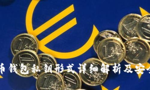 比特币钱包私钥形式详细解析及安全指南