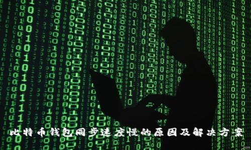 比特币钱包同步速度慢的原因及解决方案