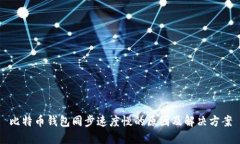 比特币钱包同步速度慢的