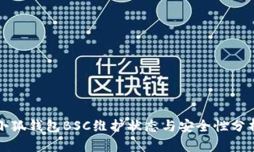 小狐钱包BSC维护状态与安全性分析