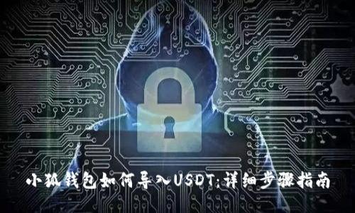 小狐钱包如何导入USDT：详细步骤指南