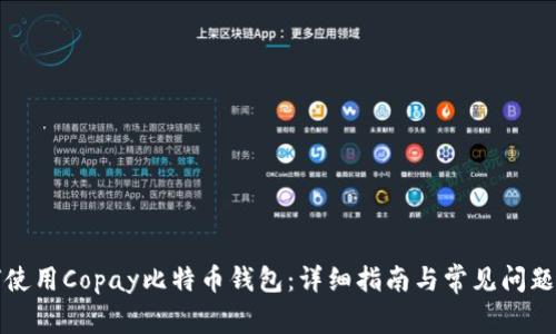 如何使用Copay比特币钱包：详细指南与常见问题解答