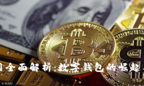 区块链应用全面解析：数字钱包的崛起与未来趋势