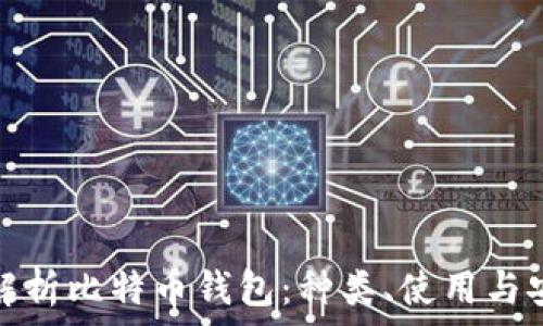   
全面解析比特币钱包：种类、使用与安全性