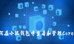 如何在小狐钱包中查看和