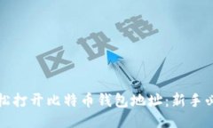 如何轻松打开比特币钱包