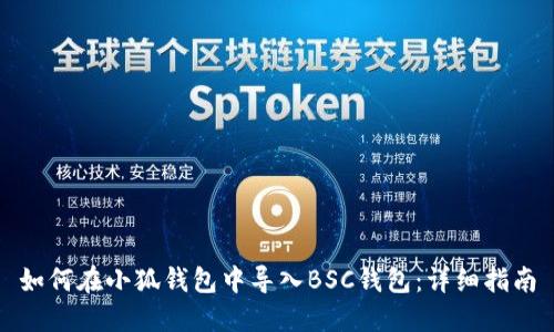 如何在小狐钱包中导入BSC钱包：详细指南