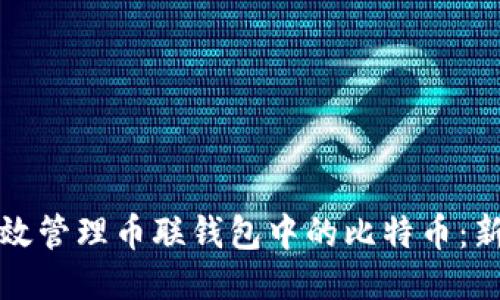 如何高效管理币联钱包中的比特币：新手指南