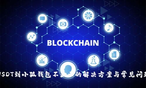 提币USDT到小狐钱包不显示的解决方案与常见问题解析