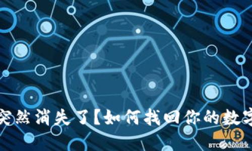 小狐钱包突然消失了？如何找回你的数字资产安全