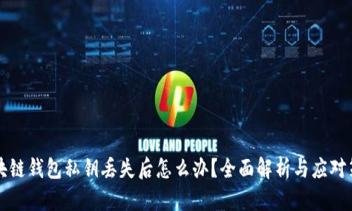 区块链钱包私钥丢失后怎么办？全面解析与应对策略