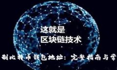 如何安全复制比特币钱包