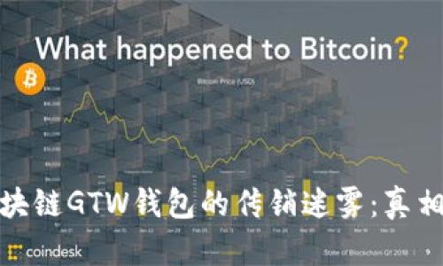 揭开区块链GTW钱包的传销迷雾：真相与风险